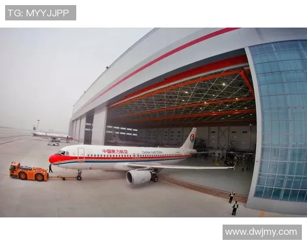 洲际杯特别报道:西安排球队如何突破重重困难实现辉煌成就 洲际杯特别报道:西安排球队如何突破重重困难实现辉煌成就