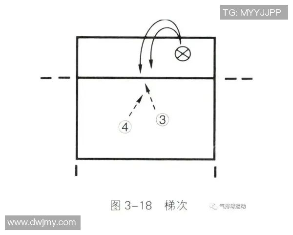 西安排球队的配合策略与战术分析探讨 西安排球队的配合策略与战术分析探讨