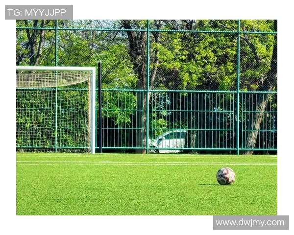 足球明星的孩子们在绿茵场上的梦想与成长故事