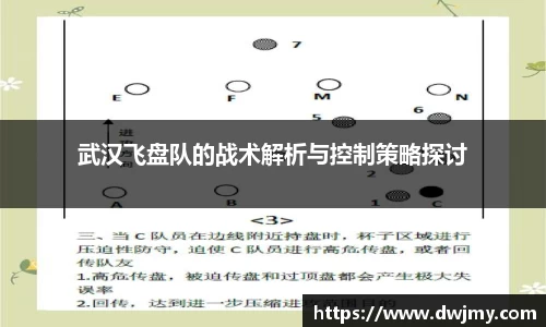 武汉飞盘队的战术解析与控制策略探讨
