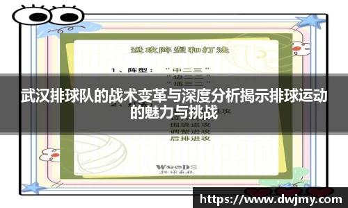 武汉排球队的战术变革与深度分析揭示排球运动的魅力与挑战