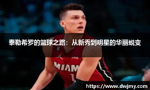 米兰体育官网
