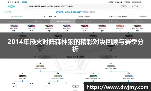 2014年热火对阵森林狼的精彩对决回顾与赛季分析