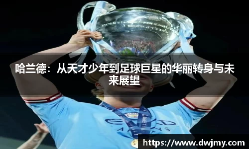 哈兰德：从天才少年到足球巨星的华丽转身与未来展望