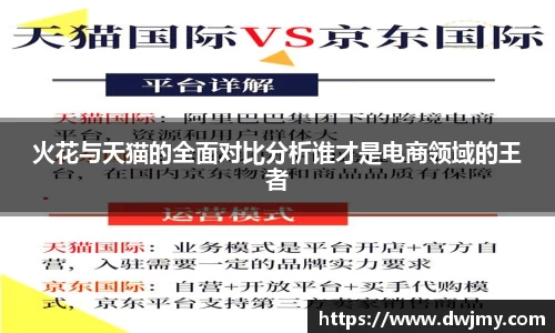 火花与天猫的全面对比分析谁才是电商领域的王者