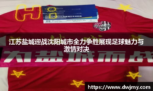 江苏盐城迎战沈阳城市全力争胜展现足球魅力与激情对决